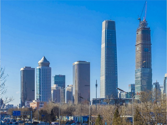 河北木头打净片机实体厂家